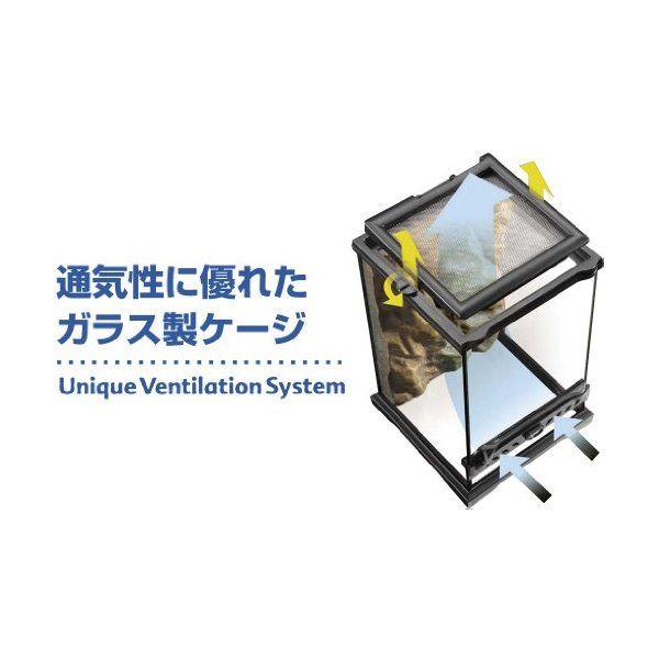 GEX（ジェックス） グラステラリウム ナノPT2601 : XPRICE Yahoo!店
