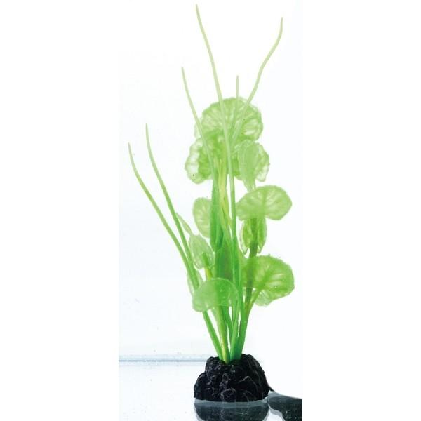 GEX ジェックス 癒し水景 ピュアプランツ チドメグサ : XPRICE