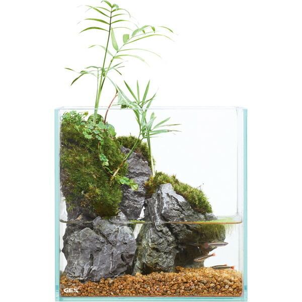 ジェックス グラステリア フィット 200 | GEX | 01