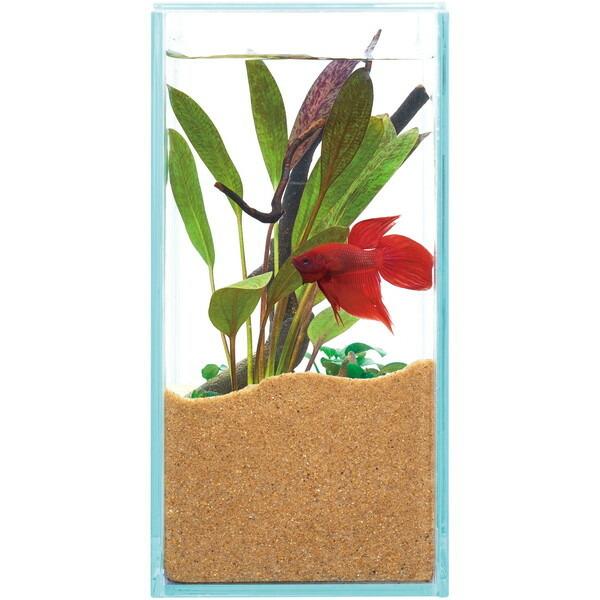 ジェックス グラステリア フィット 200 | GEX | 02