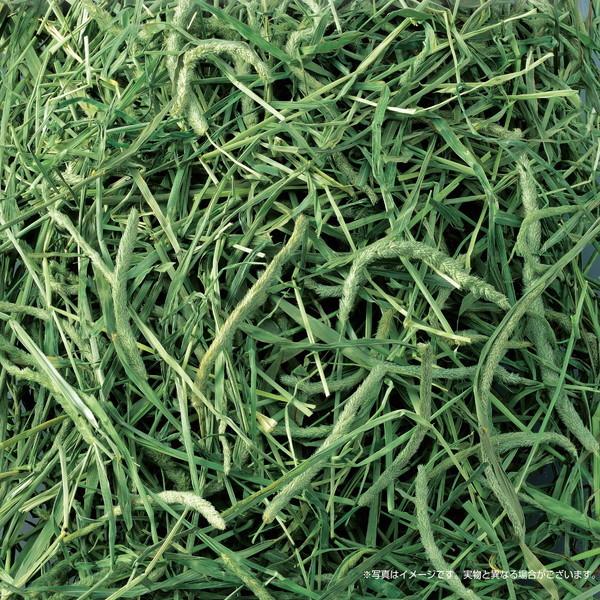 ジェックス おいしいチモシー 1.1kg | GEX | 02