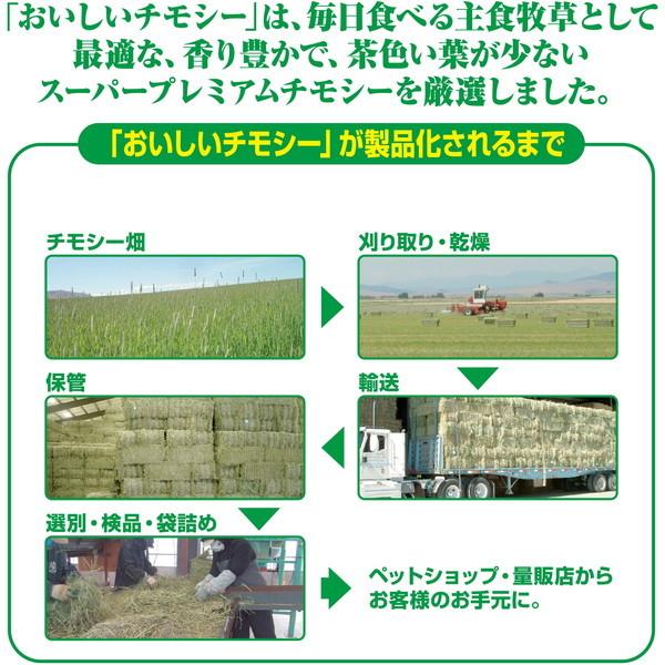 ジェックス おいしいチモシー 1.1kg | GEX | 04