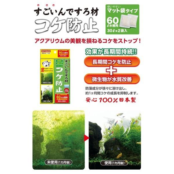 コトブキ工芸 すごいんですろ材 コケ防止 メーカー直送 : XPRICE Yahoo