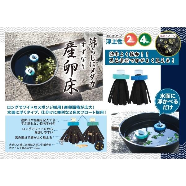 コトブキ工芸 暮らしにメダカ すずなり産卵床 浮上性 2個入