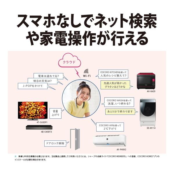 新品 SHARP AQUOS サウンドパートナー AN-SC1-S シルバー SHARP（シャープ） SHARP AN-SC1-S シルバー AQUOSサウンドパートナー