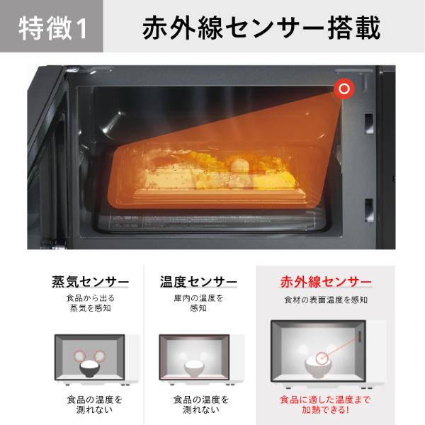 ツインバード（TWINBIRD） 電子レンジ 単機能 フラット フラット