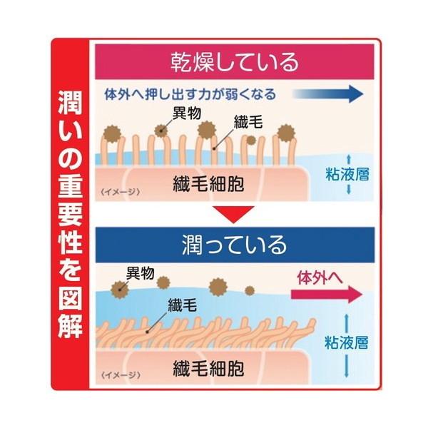 オムロン（OMRON） ハンディ吸入器 ライトブルー(a26928) : XPRICE
