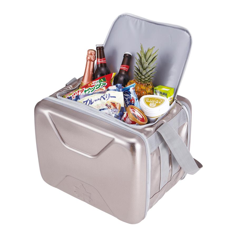 LOGOS（ロゴス） クーラーボックス ハイパー氷点下クーラー 最強