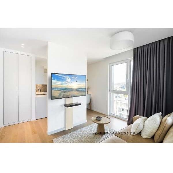 ハヤミ工産 テレビ台 EW-54W ホワイト 65V型対応 ハヤミ工産 EW-54W ホワイト系 壁面テレビスタンド (〜65V型