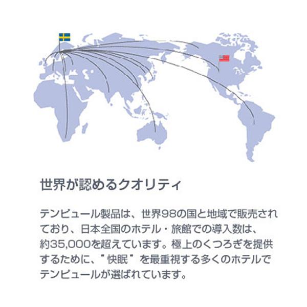 テンピュール 枕 まくら マクラ ミレニアムネックピローM テンピュール 枕 まくら マクラ ミレニアムネックピローM