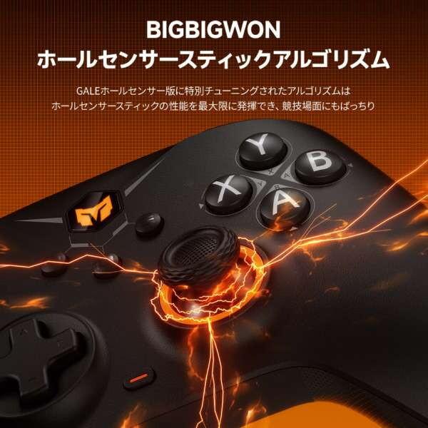 BIGBIG WON GALE Hall combo Gray ワイヤレス&有線ゲーミング