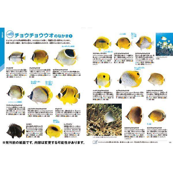 Gakken 魚 新版 : XPRICE Yahoo!店 - 通販 - Yahoo!ショッピング