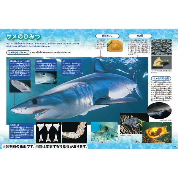Gakken 魚 新版 : XPRICE Yahoo!店 - 通販 - Yahoo!ショッピング