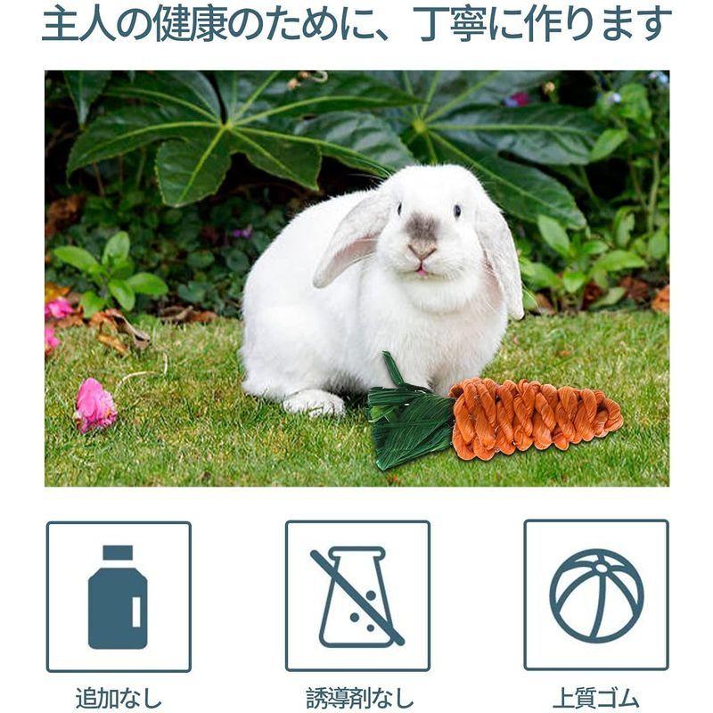 クリスマスツリー特価 猫用品 Ricisung ハムスター あそび道具 ウサギの噛むおもちゃ チンチラ おもちゃ ストレスリリーフ ペットのおもちゃ 小動物用の臼歯のおも Www Threeriversofs Com