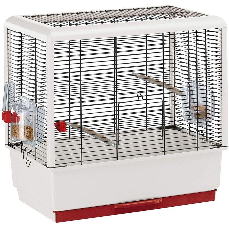 ファープラスト 鳥類 鳥類