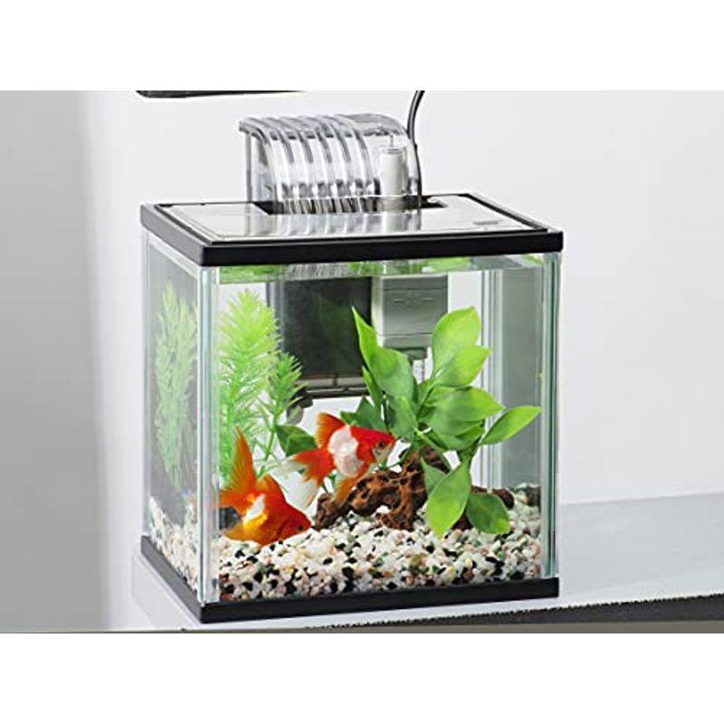 テトラ Tetra 水槽 ラクラクお手入れ金魚セット Ssサイズ 水槽 アクアリウム 熱帯魚 メダカ 金魚 April Store 通販 Yahoo ショッピング