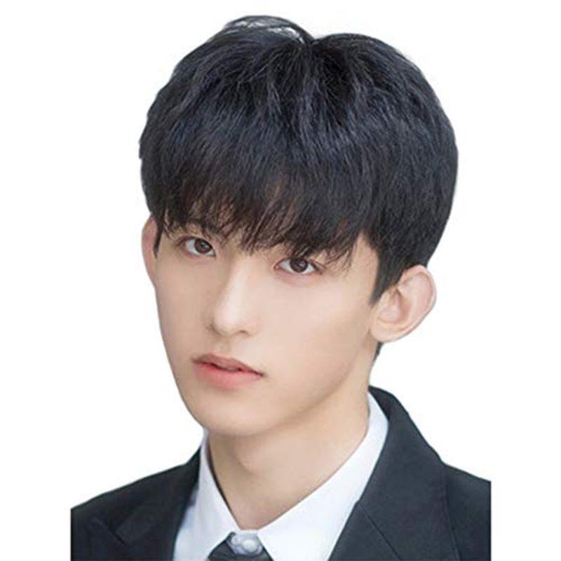 Nicehair ウィッグ メンズ 人毛100 ショート ストレート短髪 人気 かつら 男性 カツラ うぃっぐ ネット付き フリーサイズ April Store 通販 Yahoo ショッピング