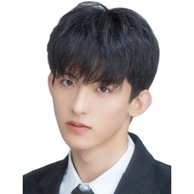Nicehair ウィッグ メンズ 人毛100 ショート ストレート短髪 人気 男性 ネット付き かつら フリーサイズ うぃっぐ カツラ Sale 84 Off