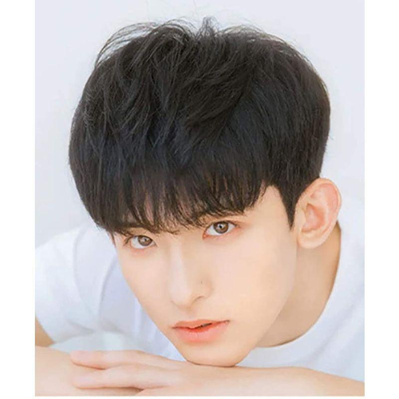 Nicehair ウィッグ メンズ 人毛100 ショート ストレート短髪 人気 男性 ネット付き かつら フリーサイズ うぃっぐ カツラ Sale 84 Off