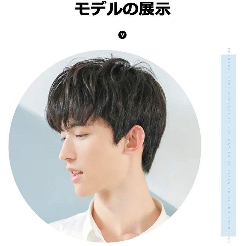 Nicehair ウィッグ メンズ 人毛100 ショート ストレート短髪 人気 男性 ネット付き かつら フリーサイズ うぃっぐ カツラ Sale 84 Off