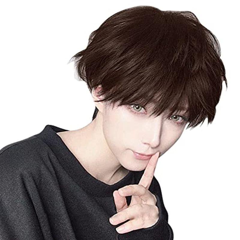 売上実績no 1 メンズ ウィッグ ショート Arzer かつら男装 短髪 ゆるふわ 唖光 無造作カール かっこいい クール Wig 学生 面接 仕事