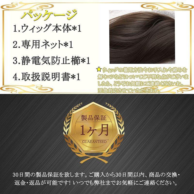 ウィッグ かつら ゆるふわ イケメン ショート ネット ファッション フルウィッグ メンズ 人気 原宿 変装 男女兼用 男装 耐熱 自然 黒 上等 メンズ