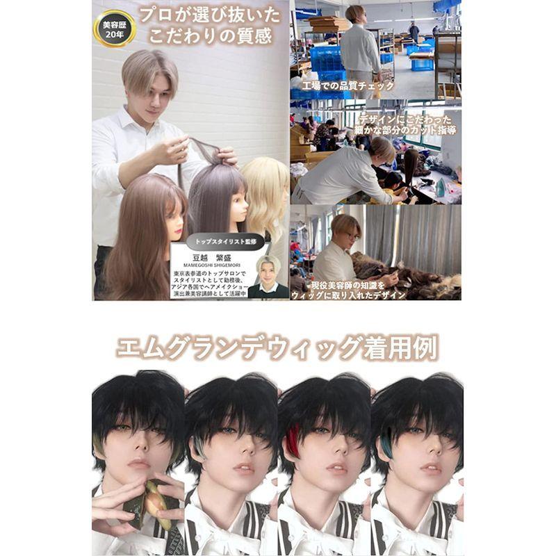 殿堂 エムグランデ プレミアム ウィッグ 現役トップスタイリスト監修 6点セット かっこいい クール メンズ かつら Wig ショート イケメン