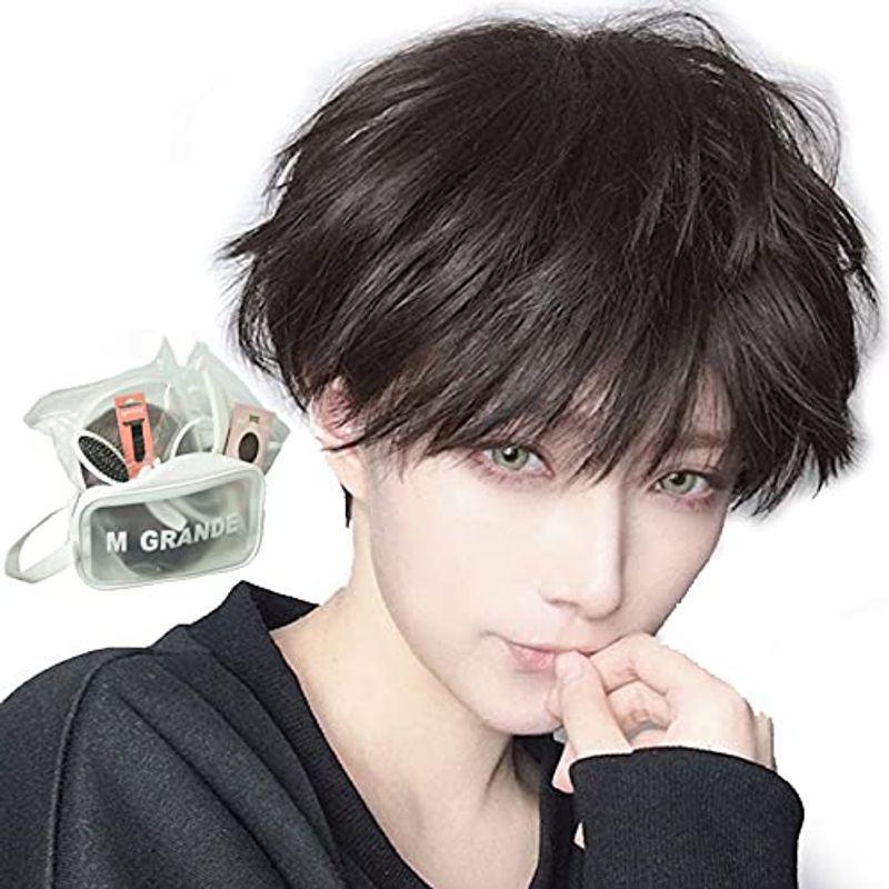 最大93 Offクーポン エムグランデ プレミアム ウィッグ 現役トップスタイリスト監修 6点セット かっこいい クール メンズ かつら Wig ショート イケメン