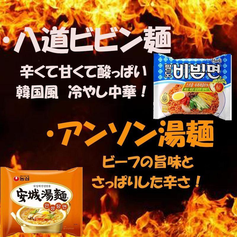 韓国 ラーメン 10種セット 辛ラーメン のぐりラーメン 袋麺 最大49%OFFクーポン インスタントラーメン 韓国食品