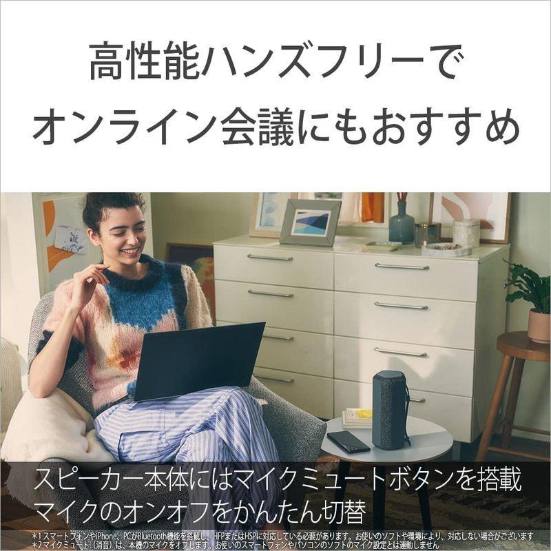 ソニー ワイヤレススピーカー SRS-XE200 :防水 IP67/広いリスニングエリア/ハンズフリー通話/ロングバッテリー16時間/SRS ワイヤレススピーカー SRS XE200 防水 IP67/広いリスニングエリア/ハンズフリー通話/ロングバッテリー16時間/SRS