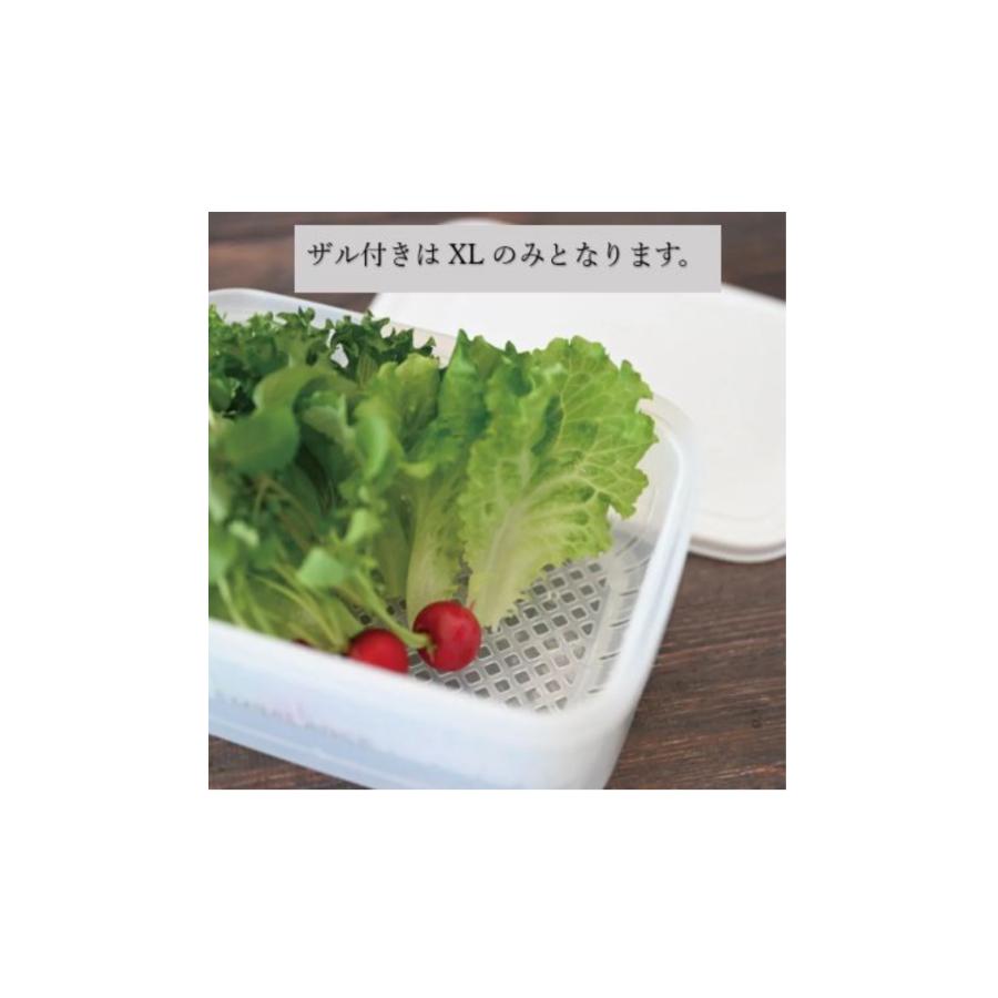 エンバランス レクタングルコンテナ XS〜L |  | 05