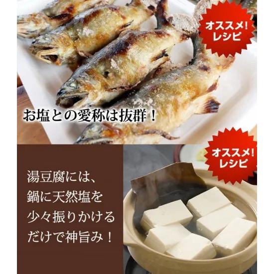 73種類のミネラル豊富なお塩（300g） : 自然雑貨Apro Yahoo!店 - 通販