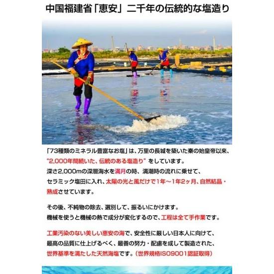73種類のミネラル豊富なお塩（300g） : 自然雑貨Apro Yahoo!店 - 通販