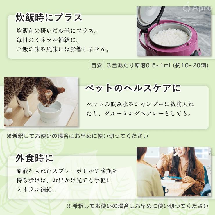 リッチなフルボさん 500ml : 自然雑貨Apro Yahoo!店 - 通販 - Yahoo