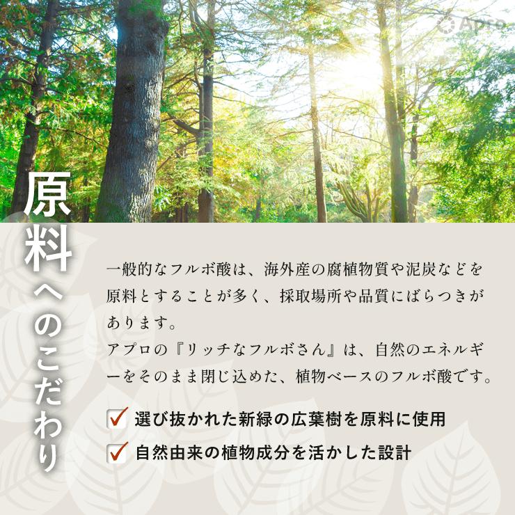 リッチなフルボさん 2〜5個セット（15,000円〜33,000円） : 自然雑貨