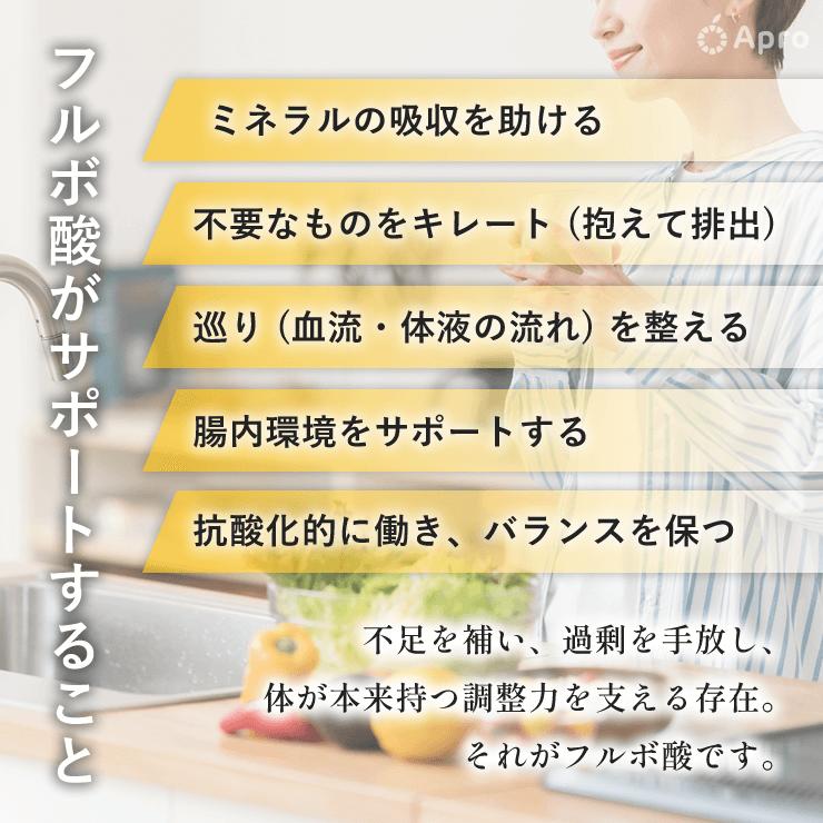 リッチなフルボさん 2〜5個セット（15,000円〜33,000円） : 自然雑貨
