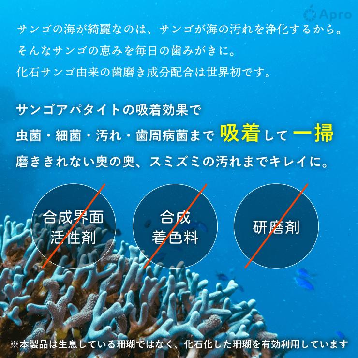 【送料無料】SANGOKUN（サンゴの歯磨き粉）2個セット |  | 01