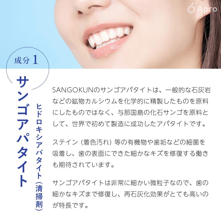 【送料無料】SANGOKUN（サンゴの歯磨き粉）2個セット |  | 03