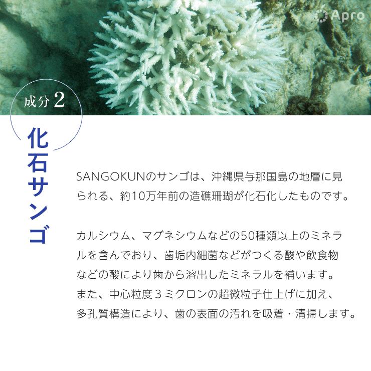 【送料無料】SANGOKUN（サンゴの歯磨き粉）2個セット |  | 04