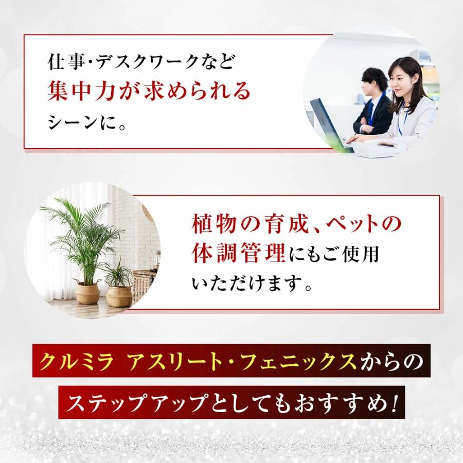 正規代理店】【ご注文後1〜5日で発送】SOMACLE（ソマクル）クルミラ