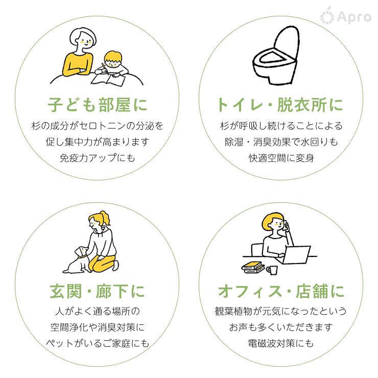 杉スリット30cm 1枚 : 自然雑貨Apro Yahoo!店 - 通販 - Yahoo!ショッピング