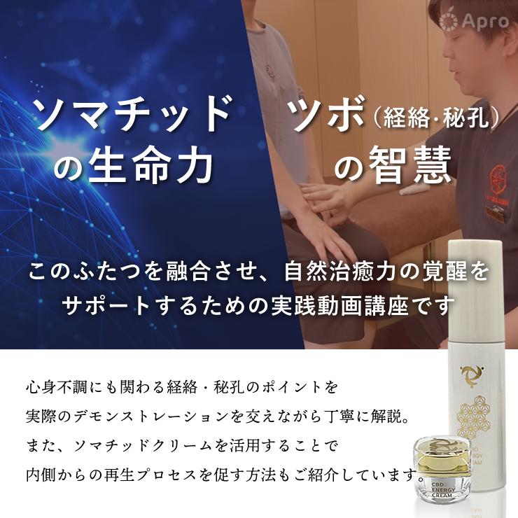 ★第２弾★ソマチッドエナジークリーム30ml【プレゼント1 ツボ動画〜難病先生の教えて一撃経絡秘孔〜 プレゼント2 先着300名様 ミニCBDエナジークリーム付き 】の画像