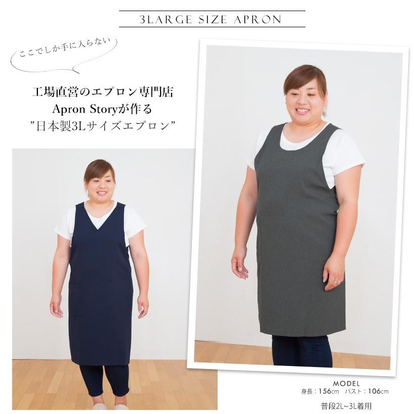 Apron Story（エプロンストーリー） 大きめサイズの2WAYタブリエ