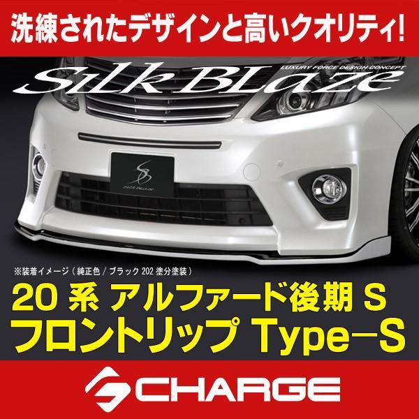 20系アルファード 後期 Sグレード フロントリップスポイラーType-S (未