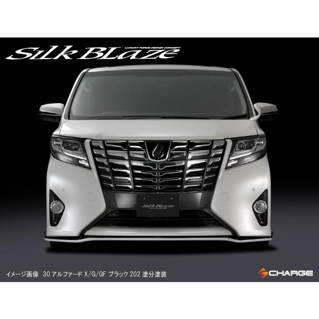 30系アルファード前期 X / G GF フロントリップスポイラーType-S