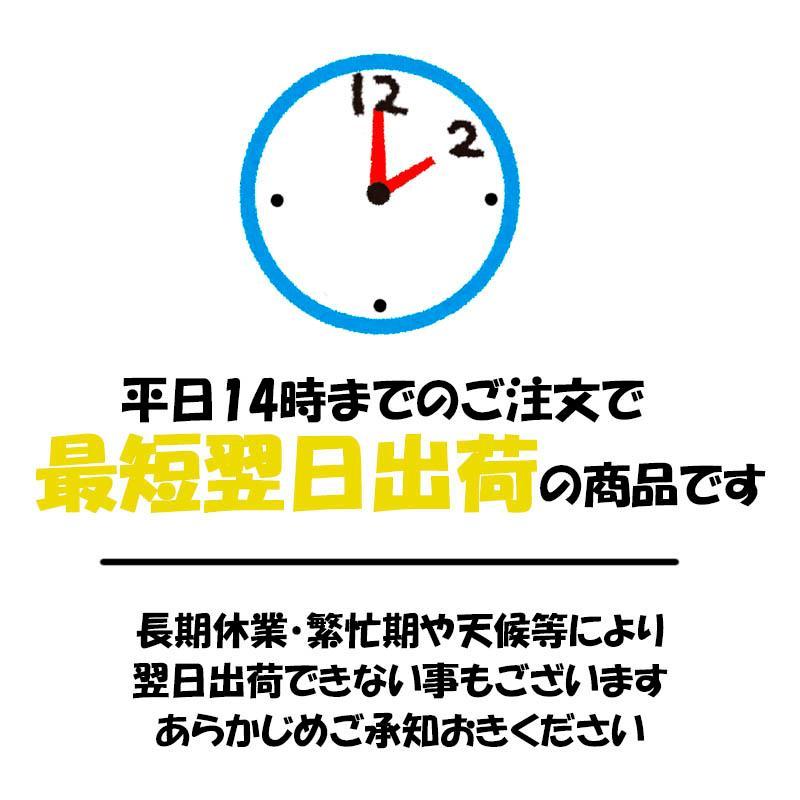 【選7色】東洋マーク製作所 選べるメイクアップシート 全7色 FS-801〜 | リード工業 | 02
