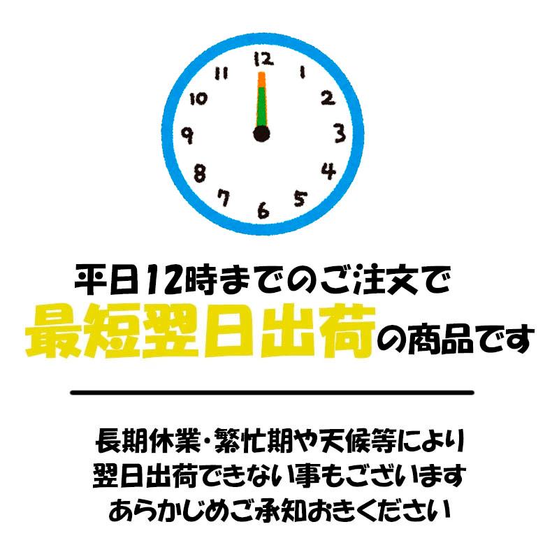 【選5色】SUNUP(サンアップ) バイク用ヘルメット ジェットヘルメット STYLISH(スタイリッシュ)  SL-002 | DAMMTRAX | 01