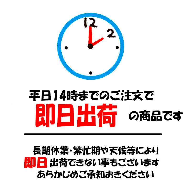 延長ダブルケーブル 2m 直タイプ プラグ用延長 ダブルケーブル 2m アークヒル TW-2M |  | 03