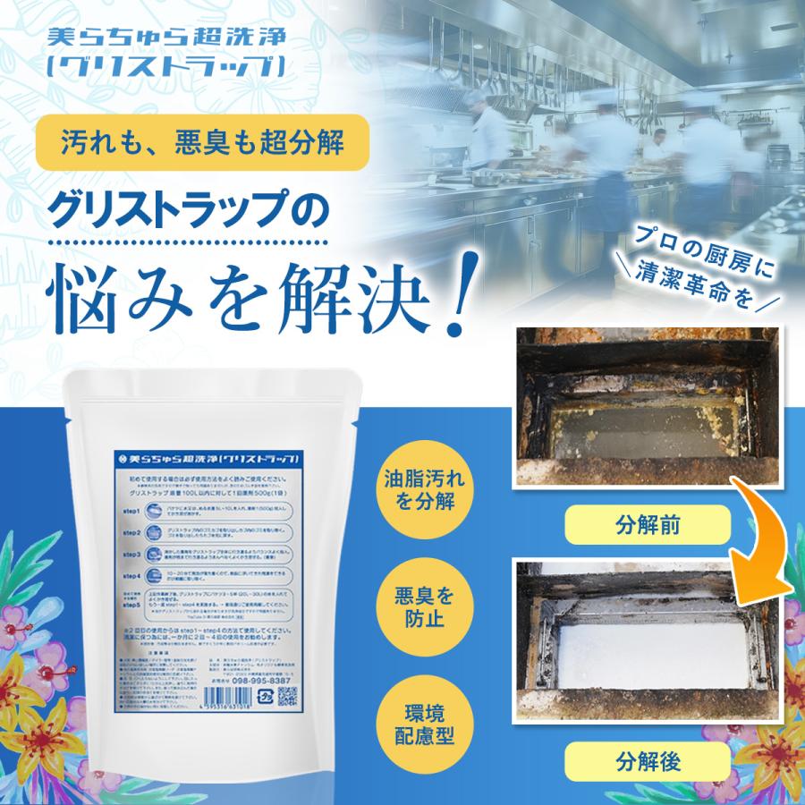 美らちゅら超洗浄（グリストラップ）美ら技研 Amazon | 美ら技研株式会社 美らちゅら超洗浄(グリストラップ用