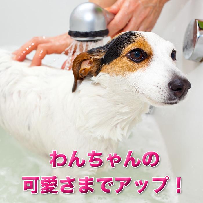 バブルマイスター シャワー用 マイクロバブル シャワー 富士計器 バブルマイスター シャワー用 マイクロバブル シャワー 富士計器